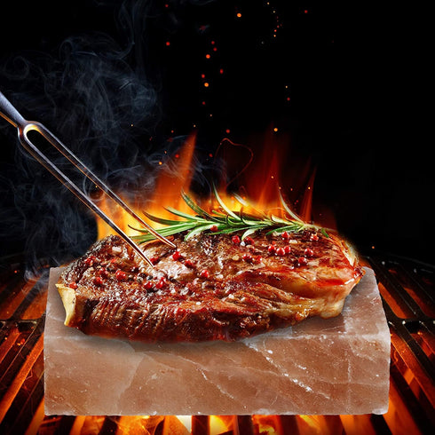 OULLYY Set, 12x8x1.6 inch. Himalayan Salt Plate Steel with Holder Outdoor BBQ Himalayan Salt Block for Grilling Searing