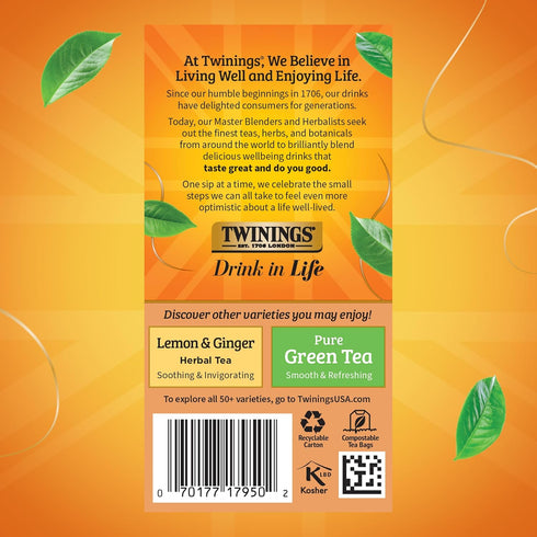 20 Count (Pack 1), 20 Twinings Orange & Cinnamon Spice Herbal Tea Individually Wrapped Bags, of Naturally