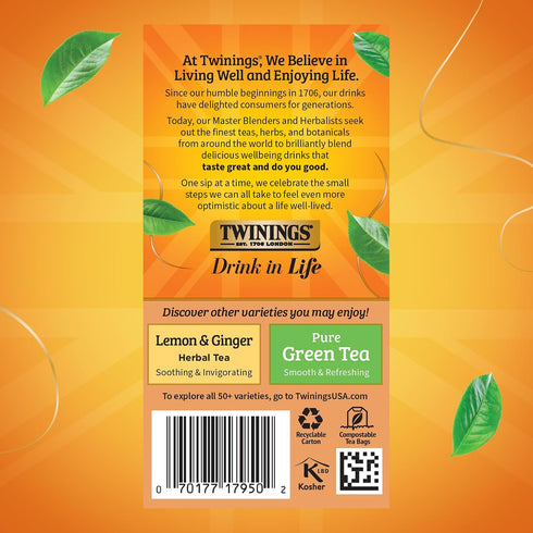 20 Count (Pack 2), 40 Twinings Orange & Cinnamon Spice Herbal Tea Individually Wrapped Bags, of Naturally