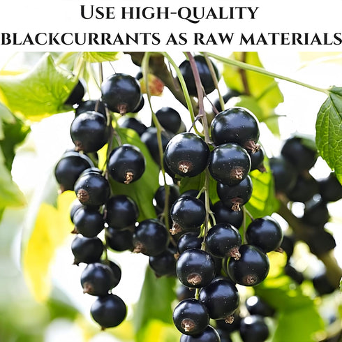 SYZJMWDY Packaging (200 Dehydrated Dried Blackcurrants - Large-sized Black currants, No Added Sweeteners | Resealable