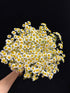 15 Stems Chamomile Daisy Fresh Cut Flowers Perfect for Home Decor Birthdays Anniversaries Healing Sympathy Friendship