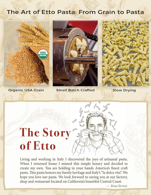 4 (4 Etto Pasta- Organic Conchiglie Pasta- Single Ingredient- Non-GMO Pasta- Vegan, Vegetarian, Organic Pasta.
