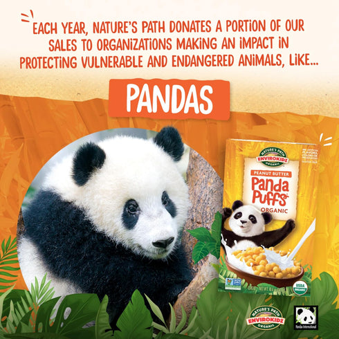 10.6 oz (Pack 1), EnviroKidz Organic Panda Puffs Cereal, of Peanut Butter, Gluten Free, Non-GMO, by Nature's Path