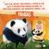 10.6 oz (Pack 1), EnviroKidz Organic Panda Puffs Cereal, of Peanut Butter, Gluten Free, Non-GMO, by Nature's Path