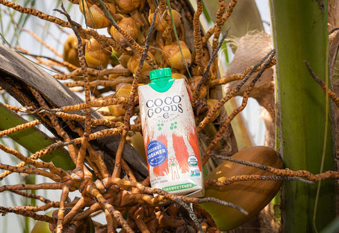 16.9 oz (500ml) Pack 12 CocoGoods Organic Coconut Creamer Plant-Based, Dairy-Free, Vegan, Gluten-Free, Non-GMO, Never