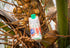 16.9 oz (500ml) Pack 12 CocoGoods Organic Coconut Creamer Plant-Based, Dairy-Free, Vegan, Gluten-Free, Non-GMO, Never