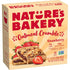 Nature's Bakery Strawberry Oatmeal Crumble Bars, 6 Ct, 1.41 Oz