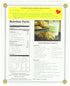 16-Ounce (Pack 6) McCANN'S Irish Oatmeal, Quick Cooking Rolled Oats, Boxes