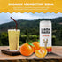 Immune 12 Pack Llama Mama Clementine Organic Sparkling Prebiotic Soda Gut & Support High Vitamin C, Antioxidants NO