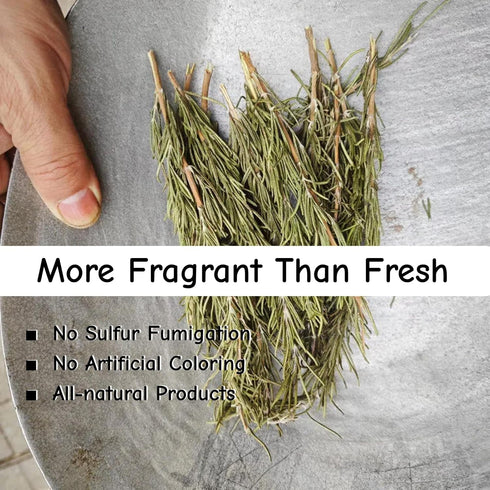 CYHJTCHS 20g (25 Dried Whole Rosemary Sprigs Bulk, Pcs), Premium Fresh Aroma Sprigs with Intact Rosemary Leaves