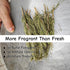 CYHJTCHS 20g (25 Dried Whole Rosemary Sprigs Bulk, Pcs), Premium Fresh Aroma Sprigs with Intact Rosemary Leaves