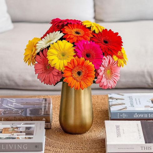 BloomsyBox: 15 Stems Multicolored Gerbera Daisy Bouquet, Durable, Hand Tied, Responsibly Sourced,