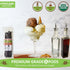 11 Madagascar Organic Vanilla Beans Grade A, Certified USDA Organic ~6" by FITNCLEAN VANILLA for Cooking and Baking