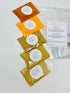 12 Set: Authentic Indian Spice Spice Assorted Spices, Herbs, and Seasonings
