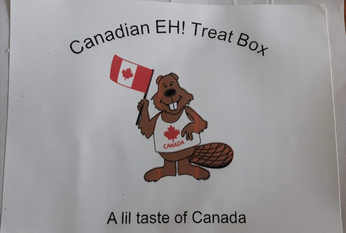 olddutch 4 bags/40g Old Dutch ketchup potato chips ~ from Canada Canadian eh treat boxes