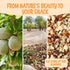 100% 2 lb Packed Oh! Nuts Almonds Natural Diced - Raw - Natural - - High-Protein Diced Almonds - in New York Zip-Seal