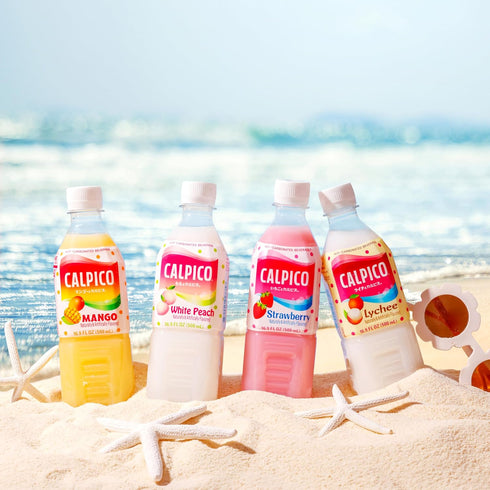 6 Pack 16.9 oz (Pack 6) CALPICO Flavor Variety Smooth, Creamy & Refreshing Non-Carbonated Beverage, Sweet and Tangy