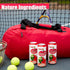 16.4 oz.(Pack 12) Parrot Brand Watermelon Juice Drink with Pulp fl.