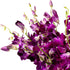 Generic (10 Fresh Cut Orchids Flowers - Purple Orchids Bouquet - PRIME QUALITY - Gift for Easter, Anniversaries