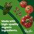 16.5 oz Can(Pack 1) Pacific Foods Organic Fire Roasted Vegetable Chili, Plant Based