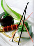 25 Whole Grade A Prime Gourmet Bourbon Madagascar Vanilla Beans - 5~6" by Vanilla Products USA