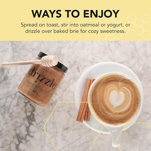 13.2 oz (375 Pack 2 Drizzle Cinnamon Spiced Raw Honey - All Natural Pure Raw Honey with Organic Cinnamon, Unfiltered