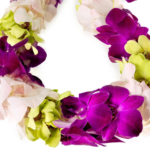 Generic Graduation Leis, Fresh Cut Orchids Flower Leis, Long-lasting double leis made of fresh cut purple, pink