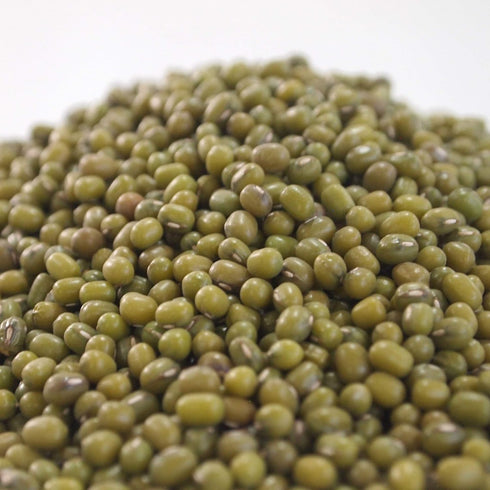 8 Oz Country Mung Bean Sprouting Seed- - Creek Brand - Dried Mung Beans for Sprouts, Garden Planting, Chinese & Asian