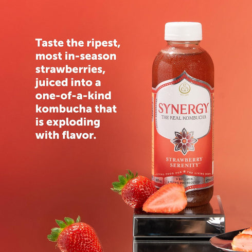 16 oz Immune SYNERGY The Real Kombucha - Strawberry Serenity - fl Bottle - Raw Probiotic Drink for Gut Health
