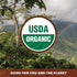 1LB Low Acid Organic Coffee Whole Bean, Mold-Free & Stomach Friendly by Java Planet, Coconut and Hazelnut, Medium Dark
