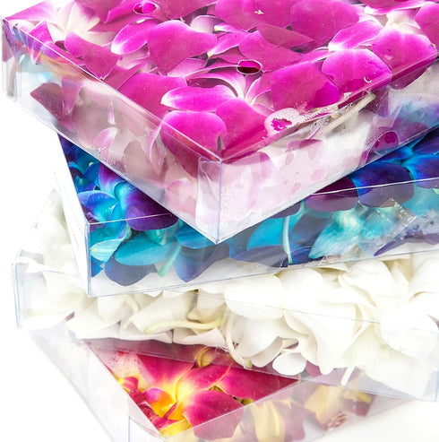 Collection by Tiffany (50 Fresh Dendrobium Orchid Heads Blooms Pieces/Box) - Blue Tinted Sonnia