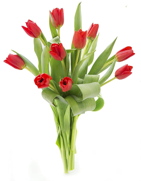 KaBloom PRIME NEXT DAY DELIVERY - Mothers Day Collection - Bouquet of