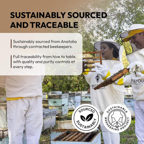 100% (10.6 oz) BEE and YOU Pine Raw Honey, Honeydew Honey, Wild-crafted, Natural, Unprocessed, Enzymes, Antioxidants