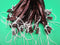 Smokehouse Chef 25 ct x 3/4 lb each capacity. Summer Sausage Casings. Each casings