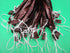 Smokehouse Chef 25 ct x 3/4 lb each capacity. Summer Sausage Casings. Each casings