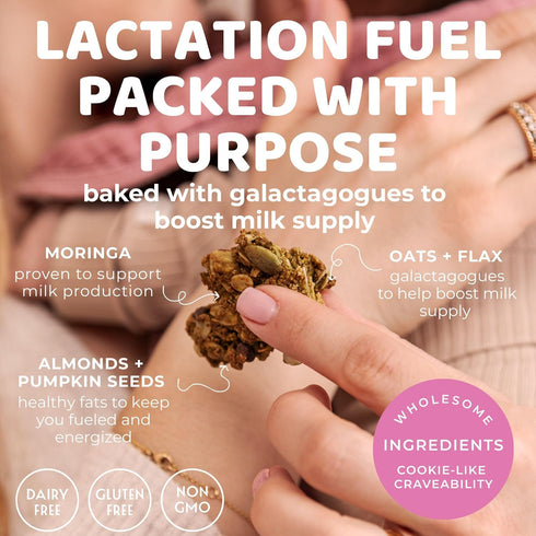 2 pack The Hampton Grocer Lacnola Lactation Granola, - Healthy Granola for Breastfeeding Moms to Increase Milk Supply |