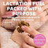 2 pack The Hampton Grocer Lacnola Lactation Granola, - Healthy Granola for Breastfeeding Moms to Increase Milk Supply |