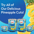 100% 20 oz 12 Pack Dole Pineapple Slices in Pineapple Juice with No Sugar Added - Dole Canned Fruit - Cans