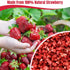Egcina 8.82oz 100% Frozen Premium Freeze Dried Strawberries Pieces - Natural Sweet Strawberrys, No Gluten & No