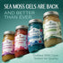 Pack 1 TrueSeaMoss Sea Moss Gel Made in USA Wildcrafted Seamoss, Fruits & Jarred Vegetables Cherry, of (Labels may