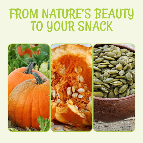 5 lb Packed Oh! Nuts Pumpkin Seed Roasted & Salted - Bulk Bag - No Shell Pumpkin Seeds - Roasted Seeds - Pepitas Snack