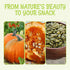 5 lb Packed Oh! Nuts Pumpkin Seed Roasted & Salted - Bulk Bag - No Shell Pumpkin Seeds - Roasted Seeds - Pepitas Snack