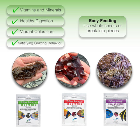 Two Little Fishies (3 Julian Sprung's Sea Veggies Variety Bundle Items)