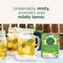 16 Traditional Medicinals Organic Green Tea Peppermint Tea, Tea Bags