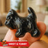 2lb Snack Attack Black Licorice Scottie Dogs Soft Chewy Candy with Real Licorice Root & Pure Anise, All-Natural, Gluten