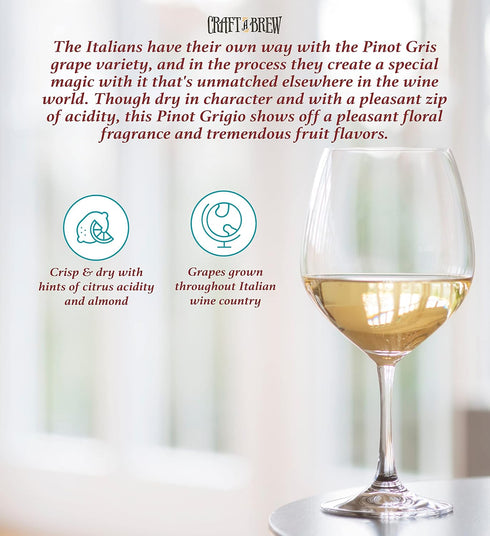1 Craft A Brew - Pinot Grigio Wine Recipe Kit - Gallon - Ingredients for Home Brewing Wine - Wine Making Ingredients