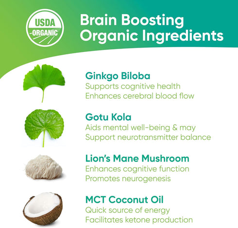 4-in-1 (30 Brain Tea Focus & Memory - Brain Tea Organic Certified Nootropic Herbal Supplement with Ginkgo Biloba, Gotu