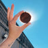 (3 Pack) Vegan, Gluten Free, Nut Free |Large Chocolate PeaNot Butter Cups | Dairy Free, Soy Free, Sesame Free | Allergy