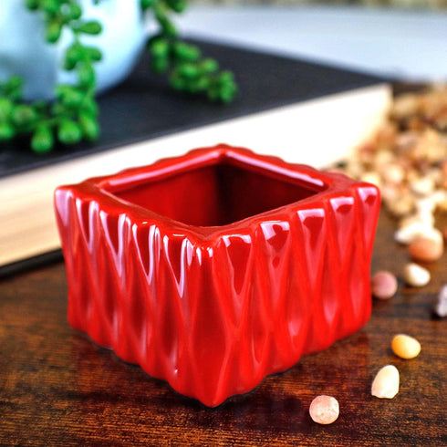 2 4 6 Inches Live Lucky Bamboo Stalk Love Arrangement in Square Red Ceramic Planter - and Lucky Bamboo Indoor Potted