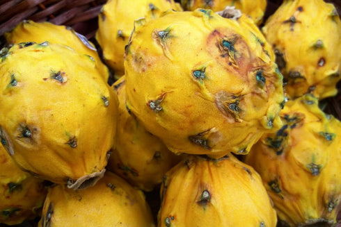 RawJoy Fresh Sweet Yellow Dragon Fruit by Farms